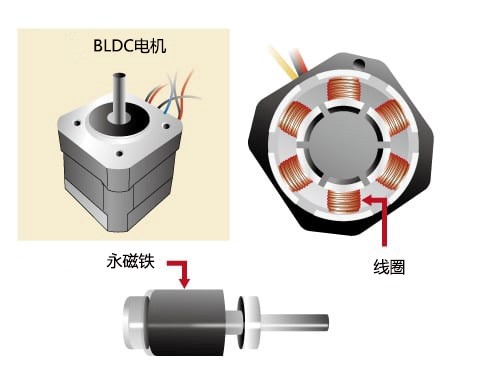 BLDC电机的内部与外部结构 BLDC电机的内部与外部结构